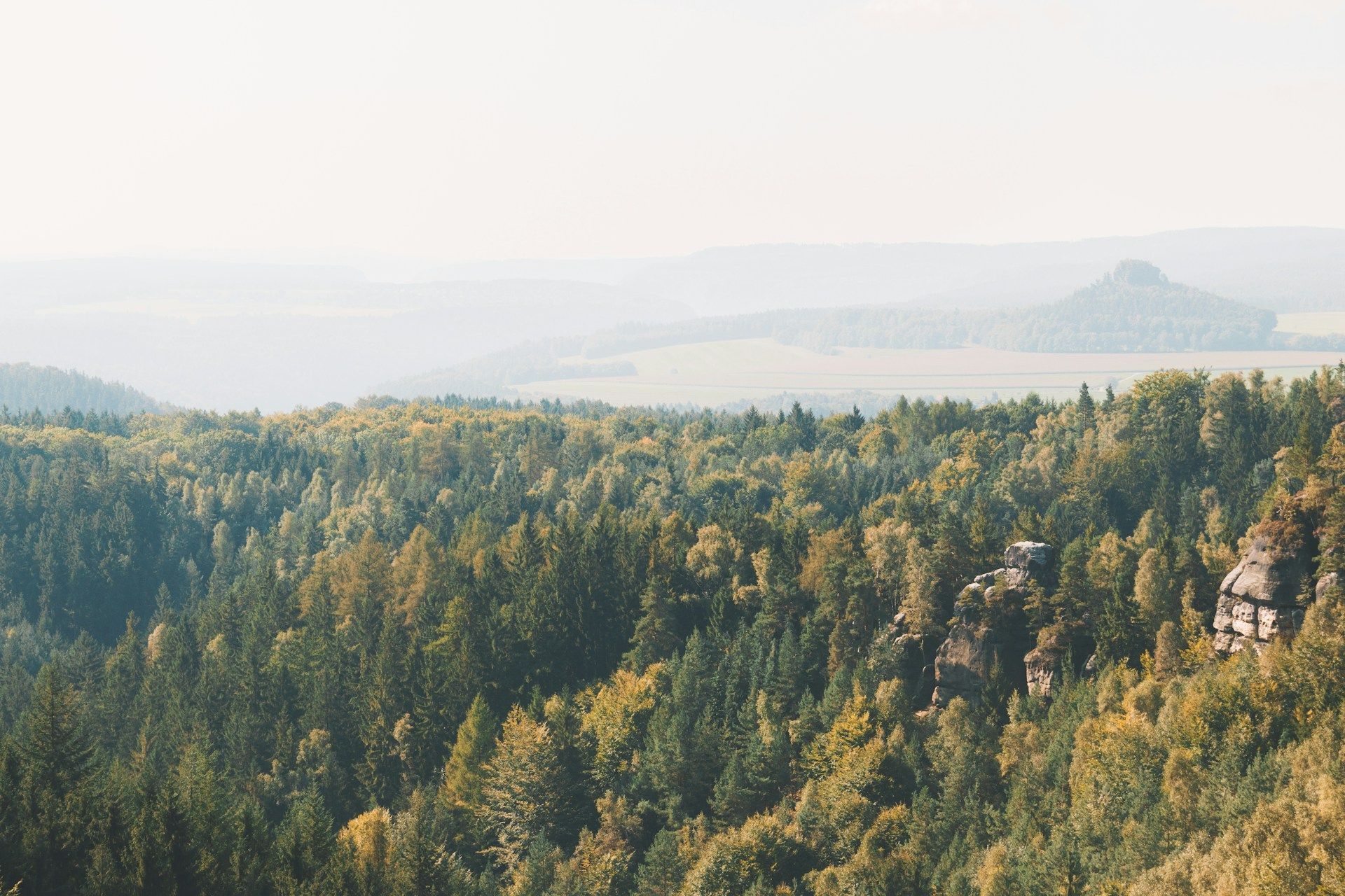 Natur schützen mit Flüssigboden