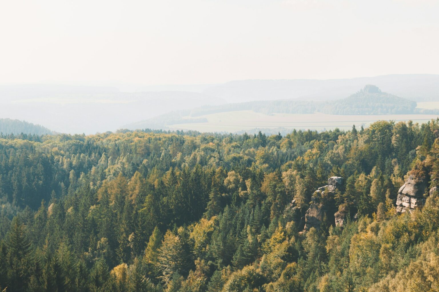 Natur schützen mit Flüssigboden